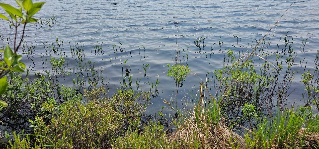 Undocumented Lake Property TBD off Deer Rd Photo 20