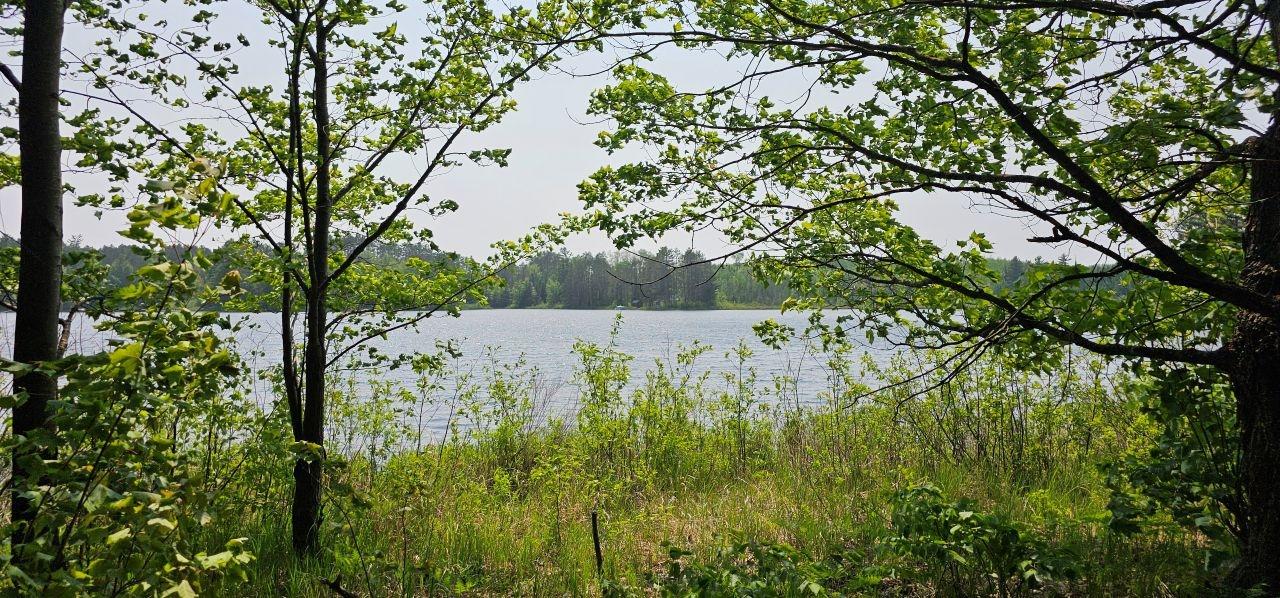 Undocumented Lake Property TBD off Deer Rd Photo 22