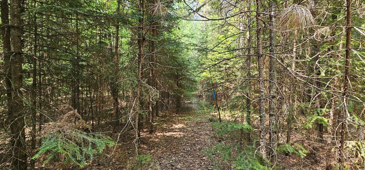 Undocumented Lake Property TBD off Deer Rd Photo 23