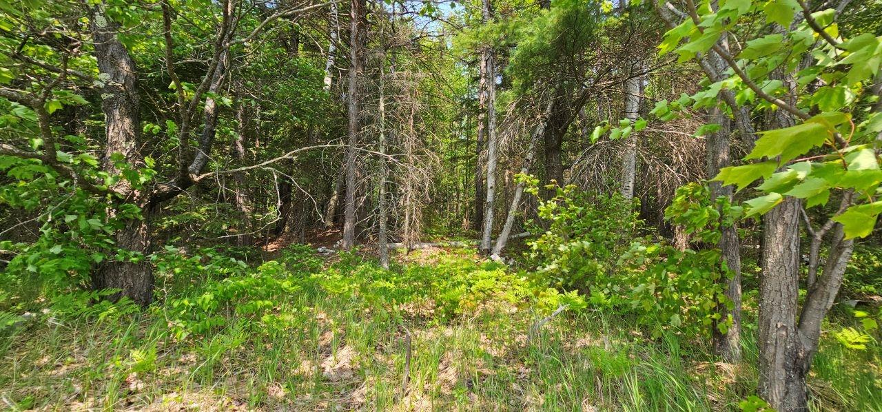 Grant Lake Property TBD off Deer Rd Photo 26