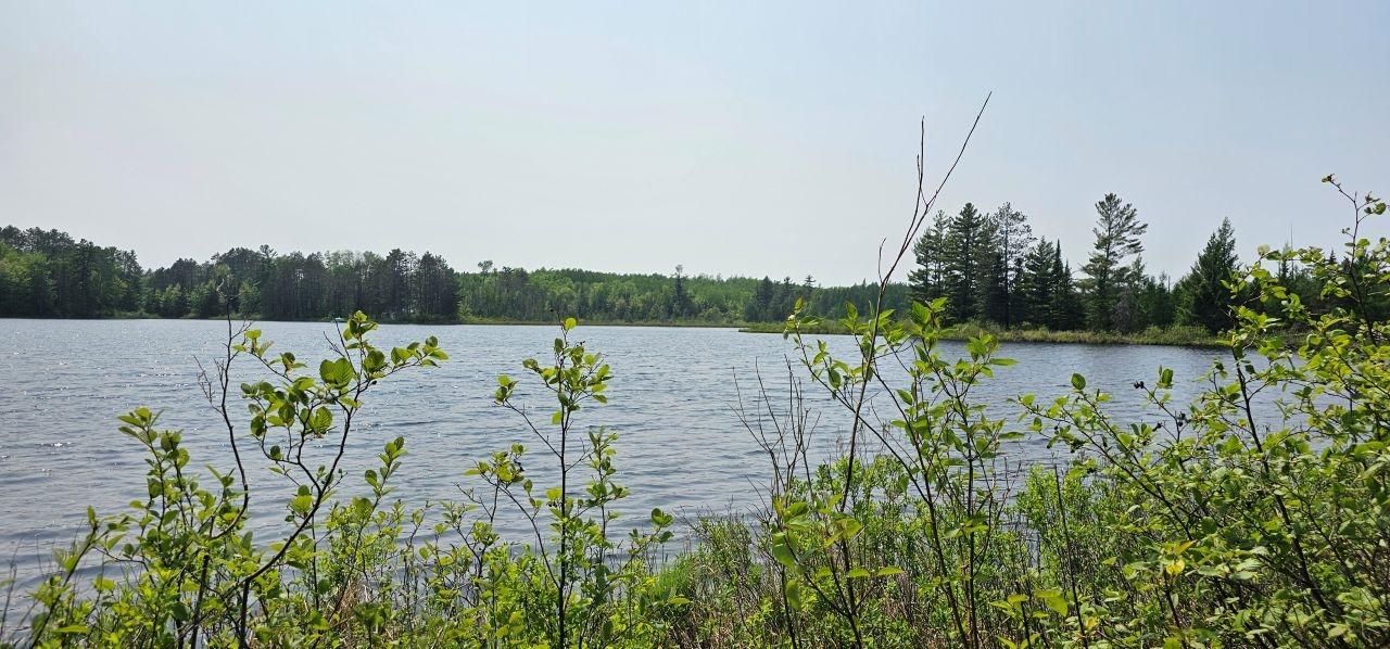 Grant Lake Property TBD off Deer Rd Photo 28