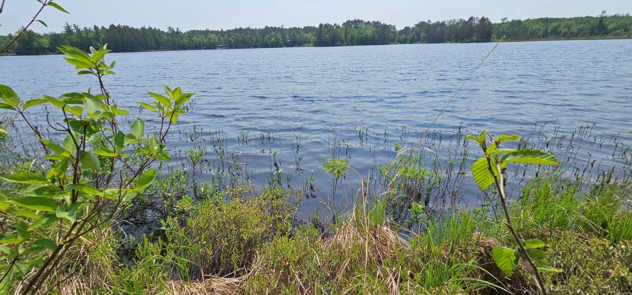 Undocumented Lake Property TBD off Deer Rd Photo 29