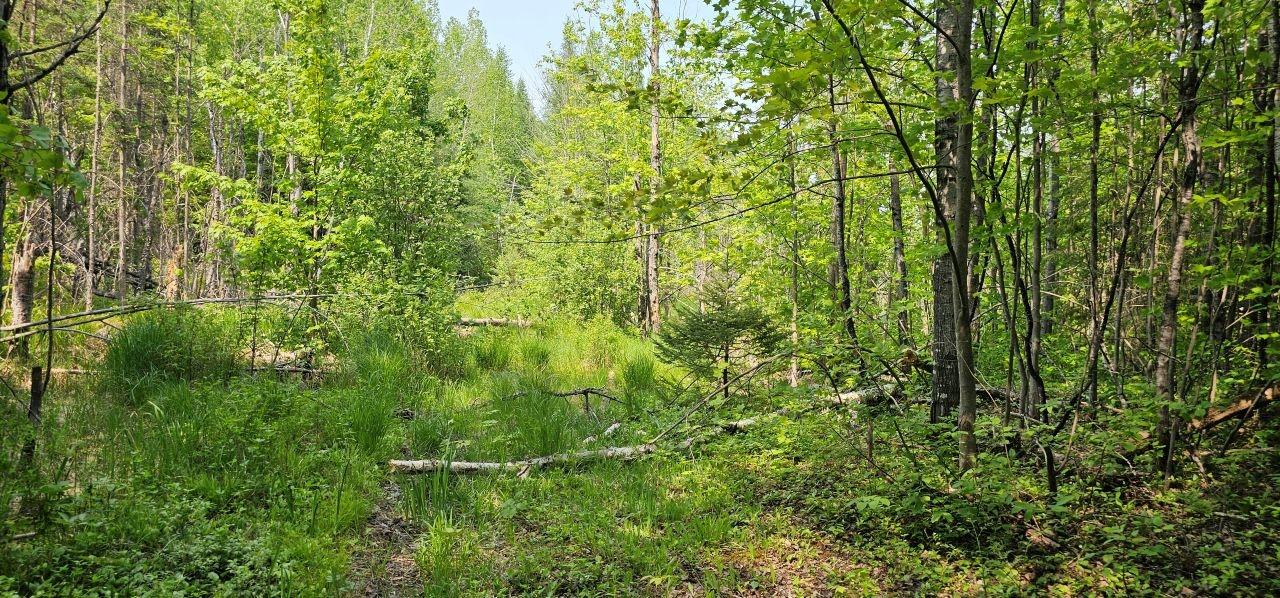 Undocumented Lake Property TBD off Deer Rd Photo 31