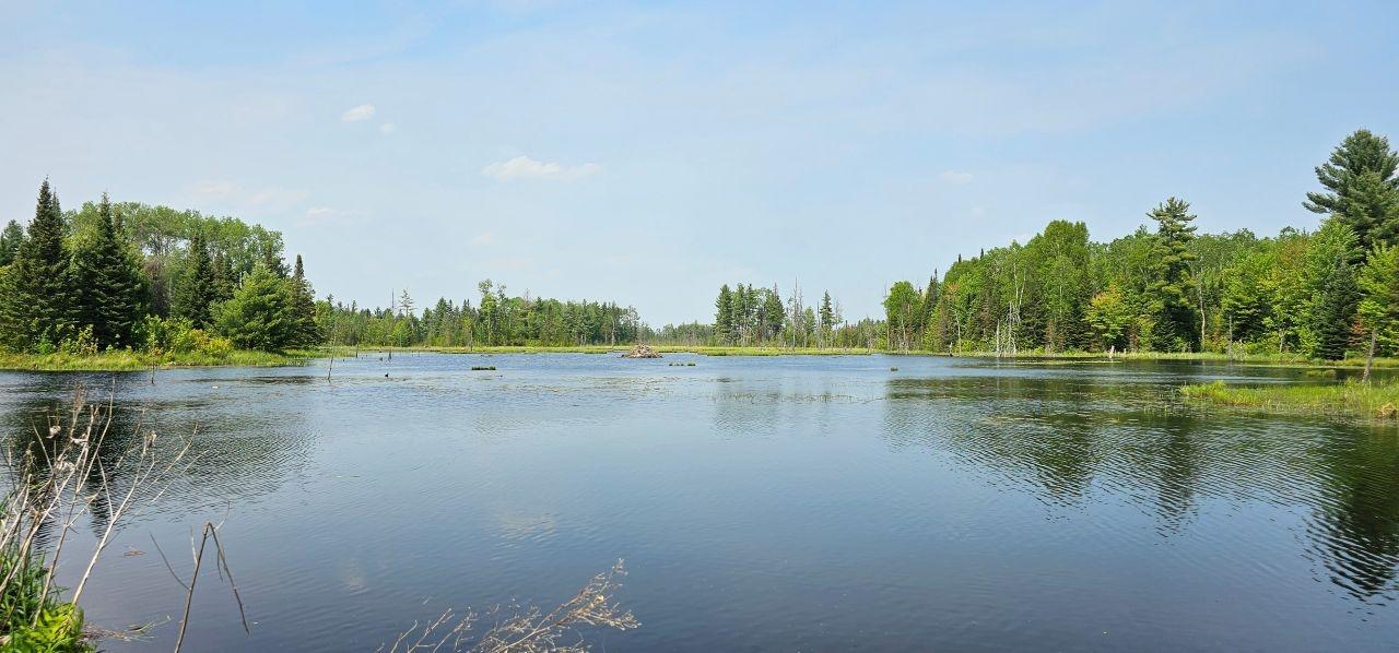 Undocumented Lake Property TBD off Deer Rd Photo 32