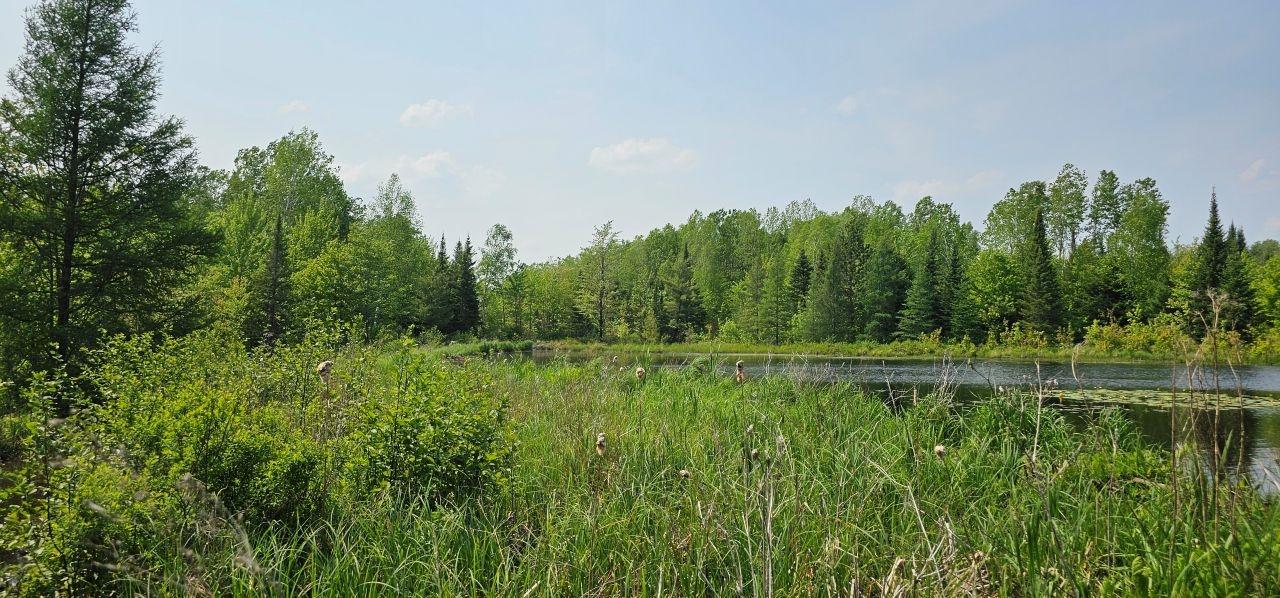 Undocumented Lake Property TBD off Deer Rd Photo 33