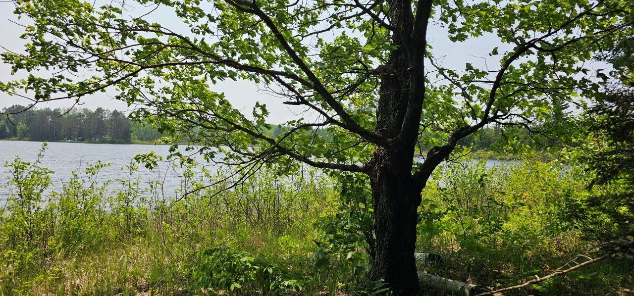 Undocumented Lake Property TBD off Deer Rd Photo 5