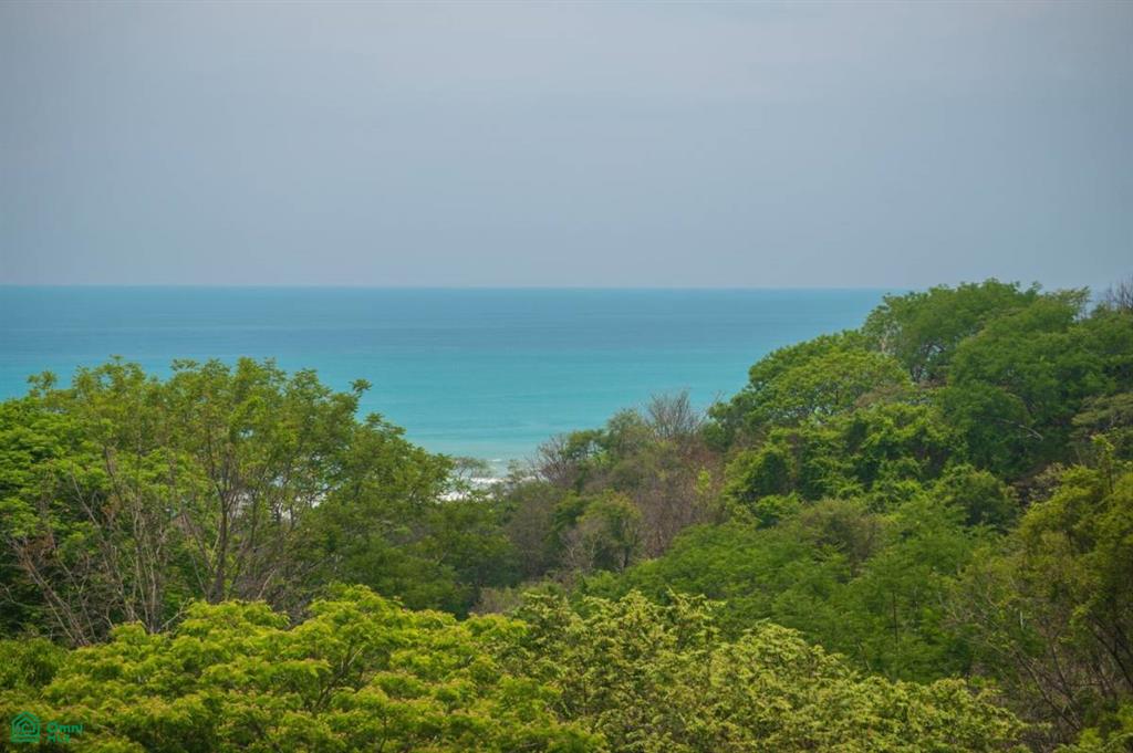 0 bed Land For Sale in Puntarenas, Puntarenas - 1