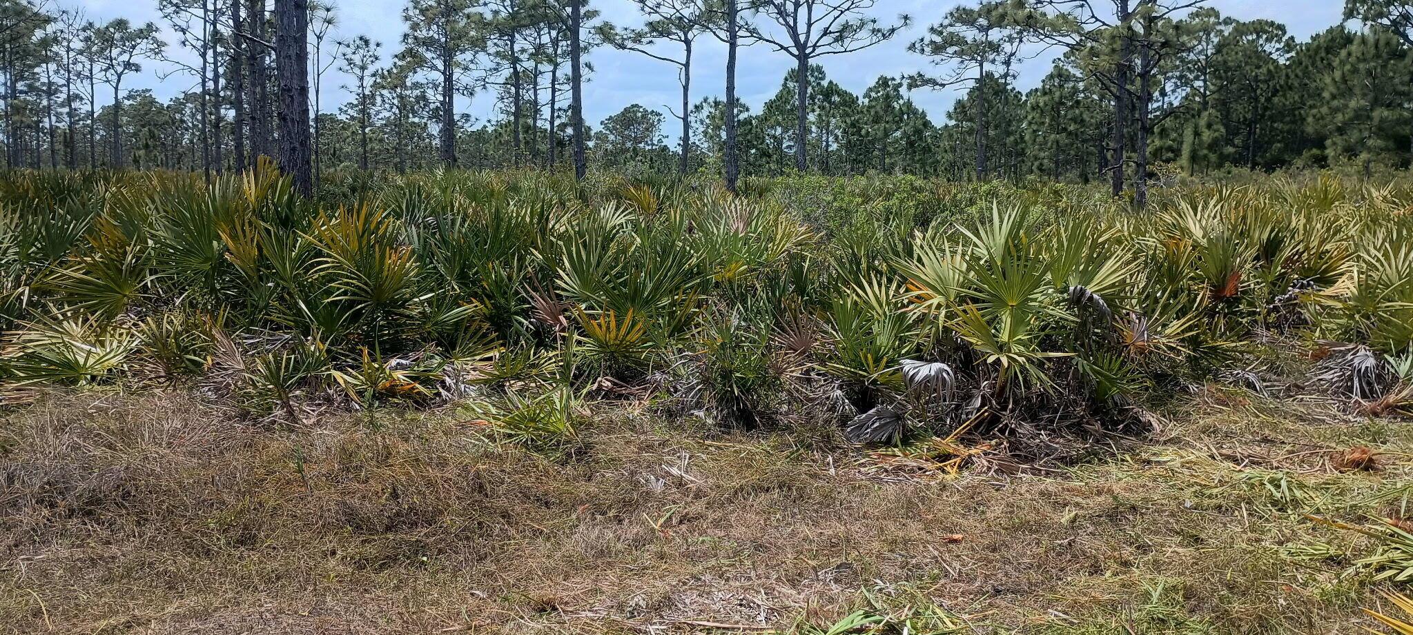 Homes for sale in Grant Valkaria, FL | --, Grant Valkaria, FL 32950 | MLS# R11096825