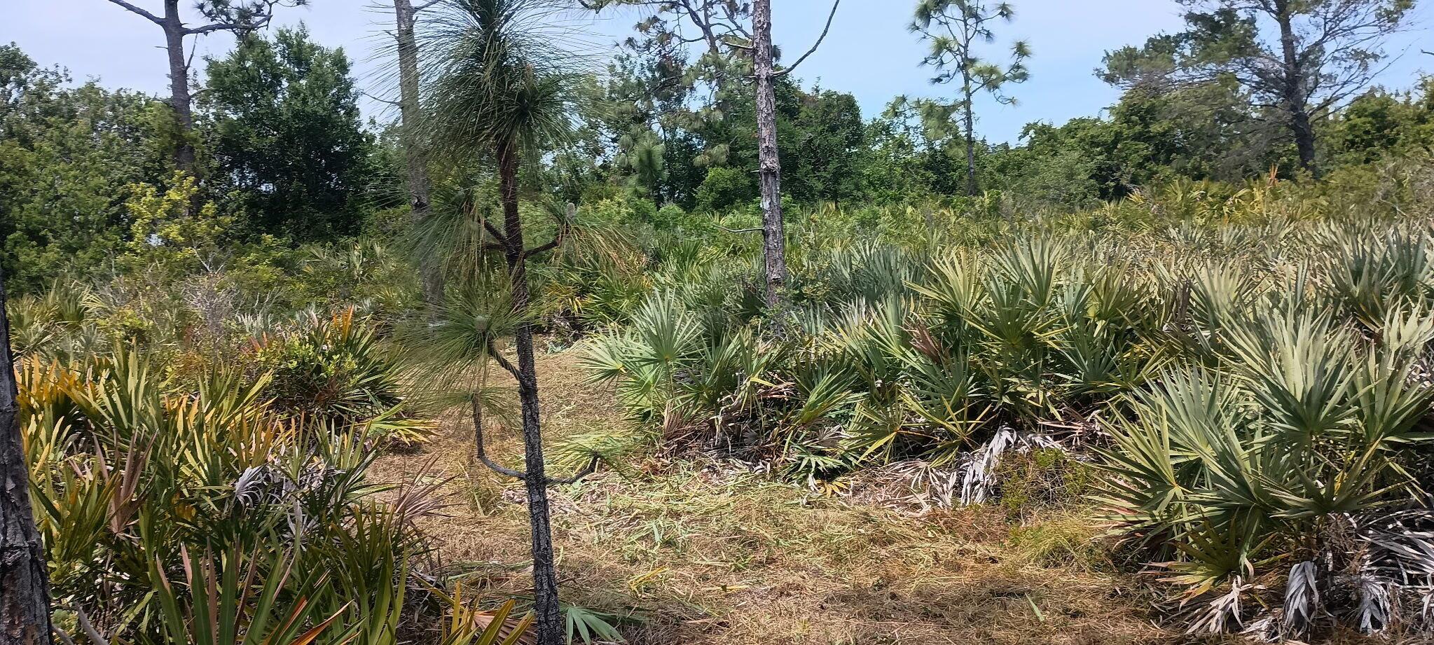 Homes for sale in Grant Valkaria, FL | --, Grant Valkaria, FL 32950 | MLS# R11096825