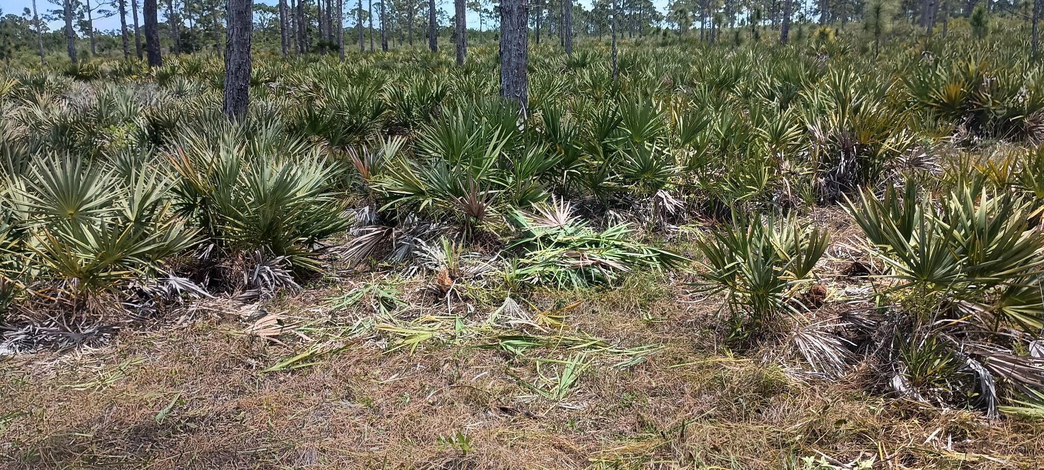 Homes for sale in Grant Valkaria, FL | --, Grant Valkaria, FL 32950 | MLS# R11096825