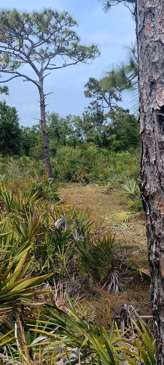 Homes for sale in Grant Valkaria, FL | 000, Grant Valkaria, FL 32950 | MLS# R11096825