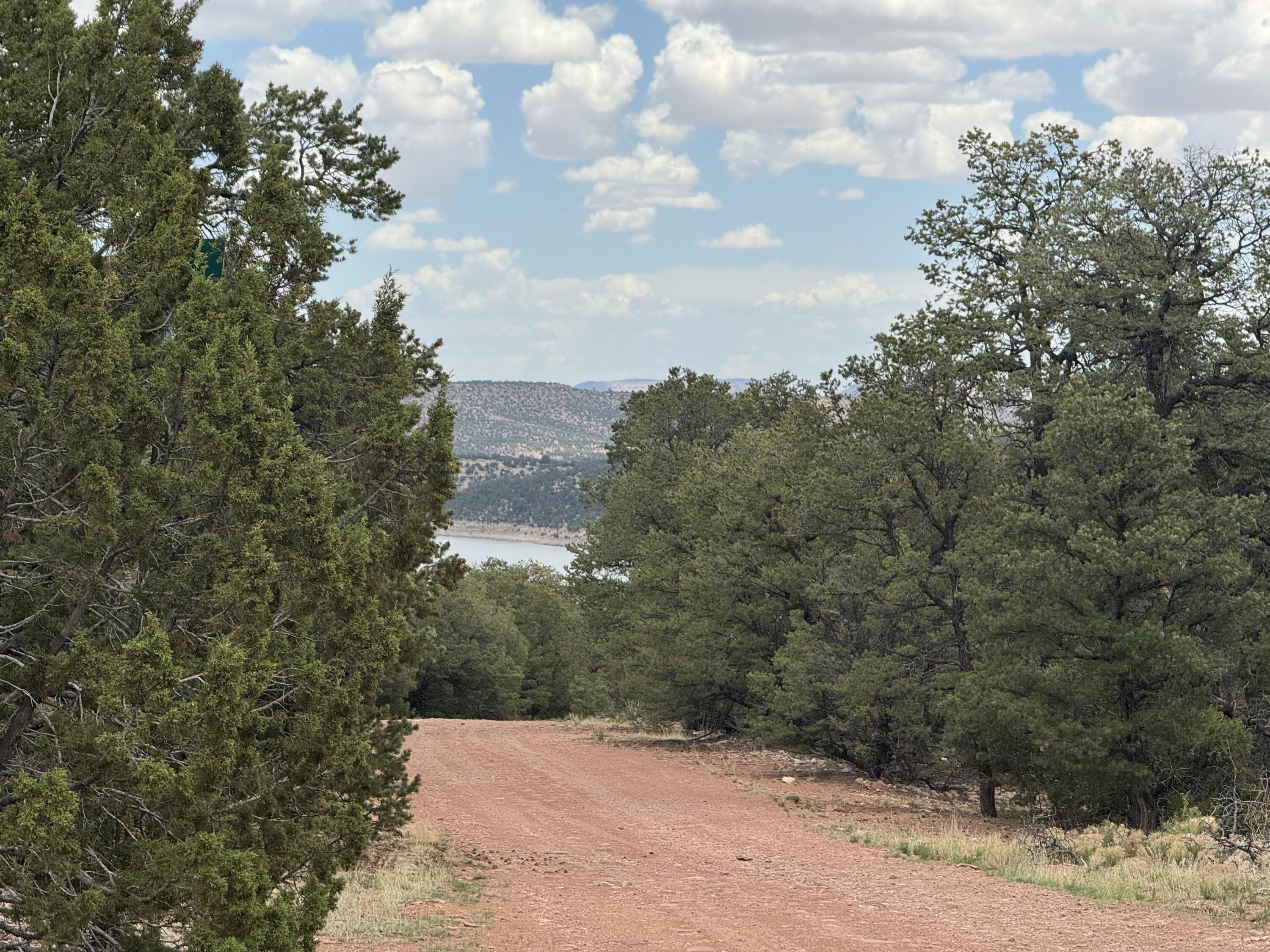 Homes for sale in Thoreau, NM | Lot 65 Blue Water Acres, Thoreau, NM 87323 | MLS# 1085308