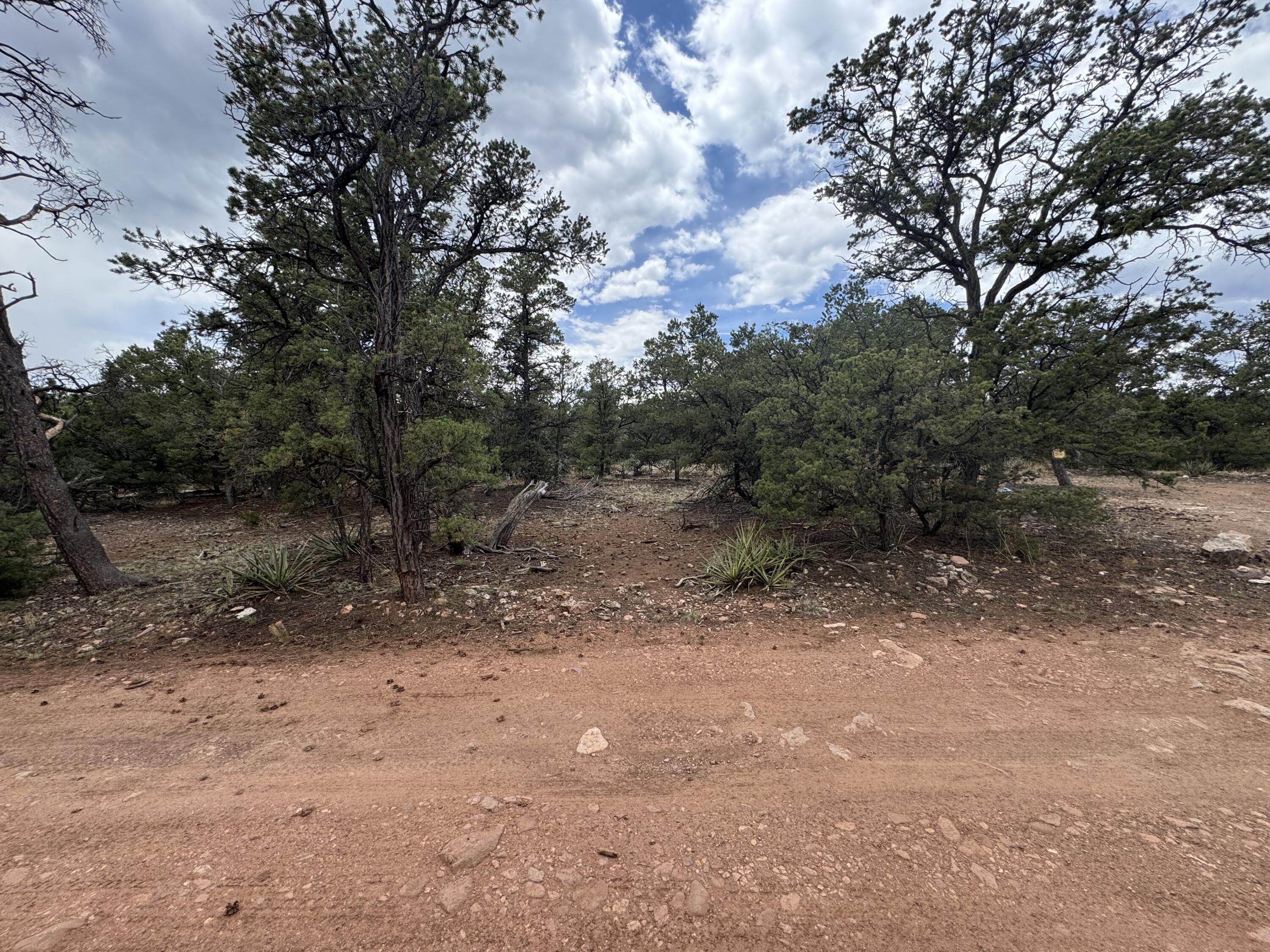 Homes for sale in Thoreau, NM | Lot 65 Blue Water Acres, Thoreau, NM 87323 | MLS# 1085308