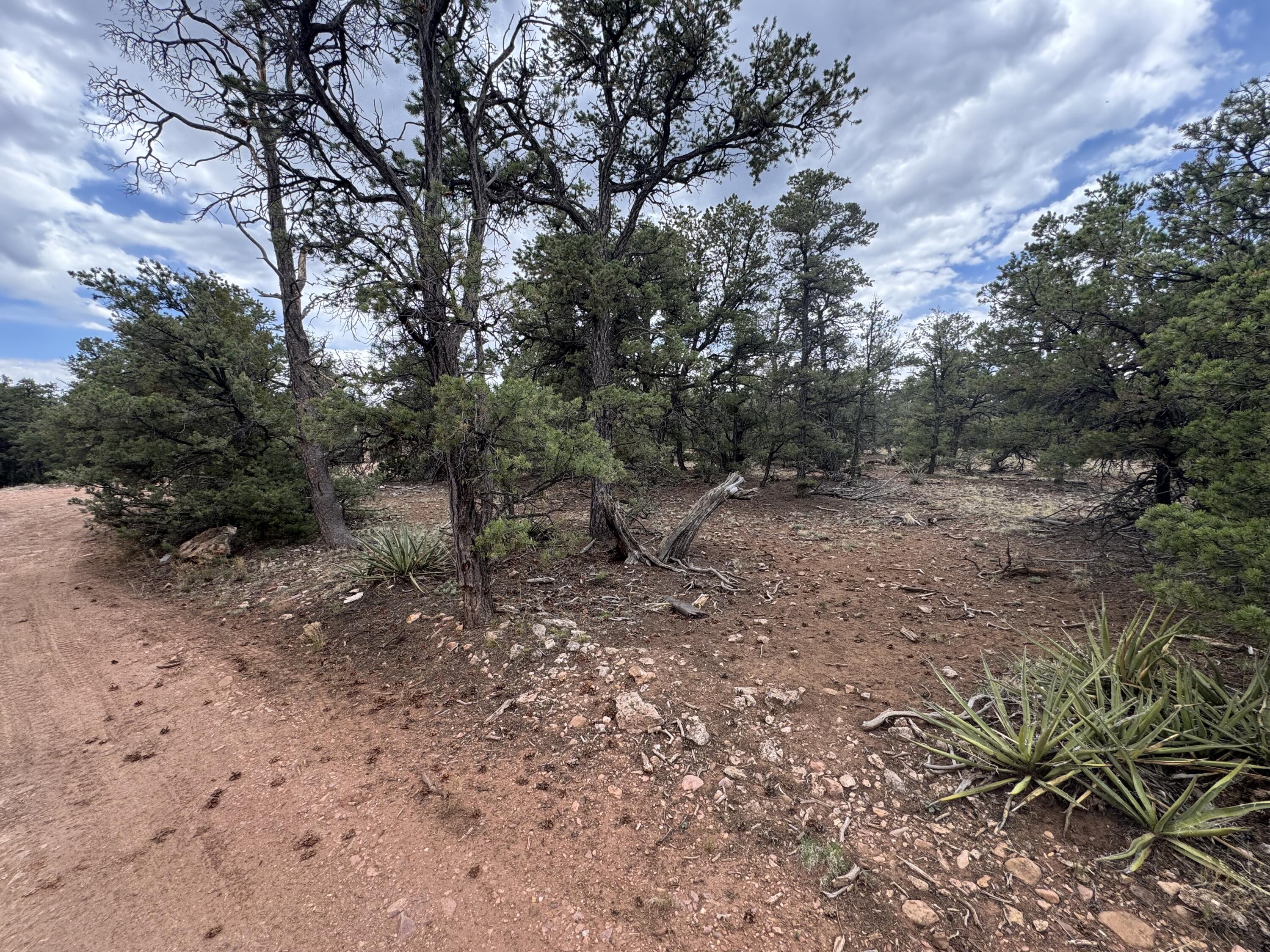 Homes for sale in Thoreau, NM | Lot 65 Blue Water Acres, Thoreau, NM 87323 | MLS# 1085308