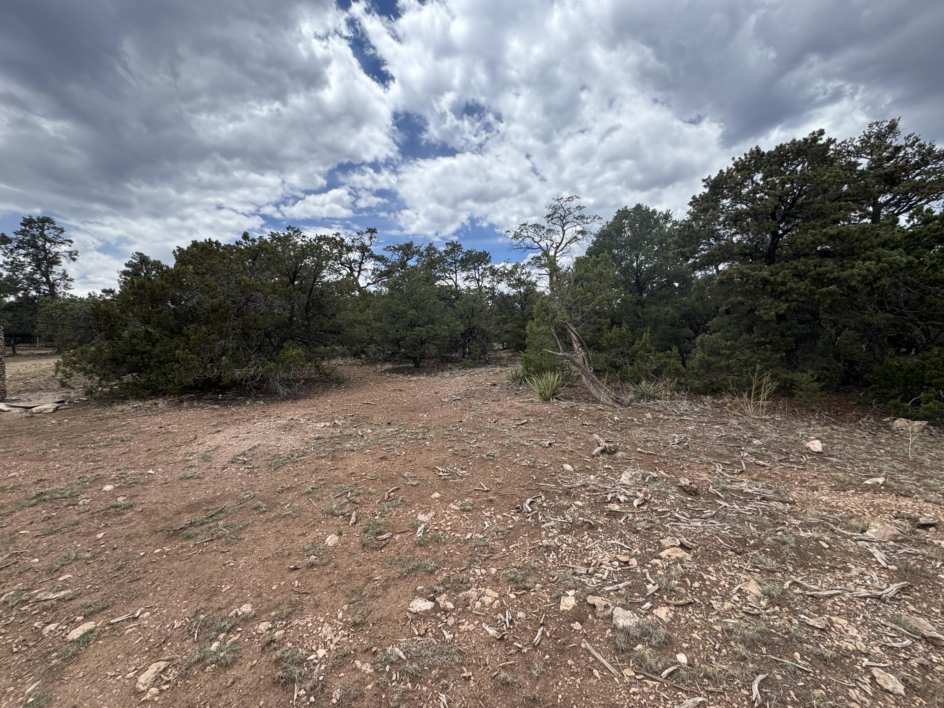 Homes for sale in Thoreau, NM | Lot 65 Blue Water Acres, Thoreau, NM 87323 | MLS# 1085308