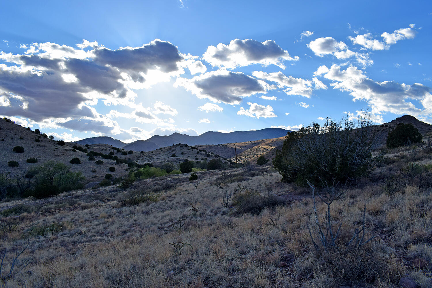 Homes for sale in San Antonio, NM | 153 Desert Highlands Road, San Antonio, NM 87832 | MLS# 1085338