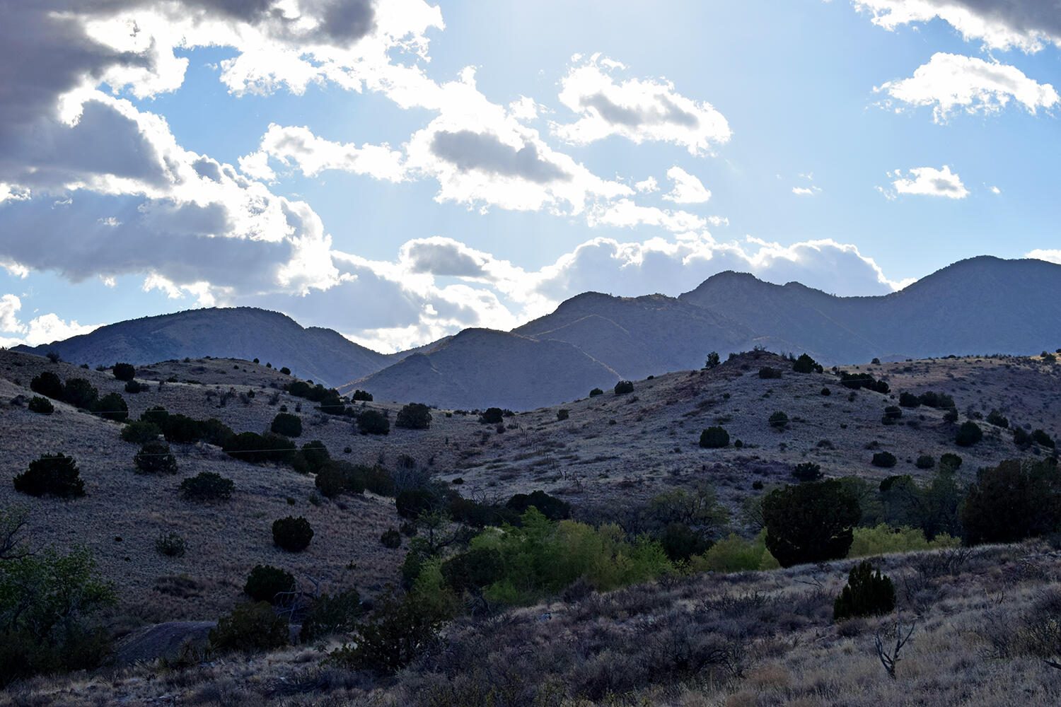 Homes for sale in San Antonio, NM | 153 Desert Highlands Road, San Antonio, NM 87832 | MLS# 1085338