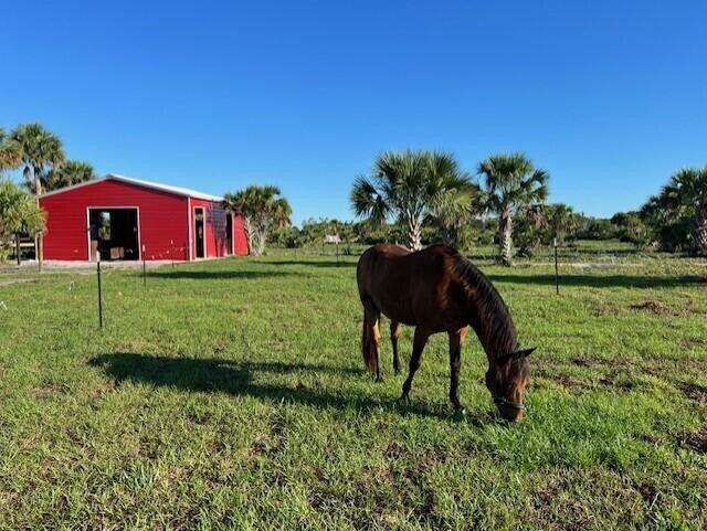 Homes for sale in Okeechobee, FL | 1303 Cabbage Lane, Okeechobee, FL 34974 | MLS# R11097752