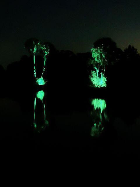 Homes for sale in Okeechobee, FL | 1303 Cabbage Lane, Okeechobee, FL 34974 | MLS# R11097752