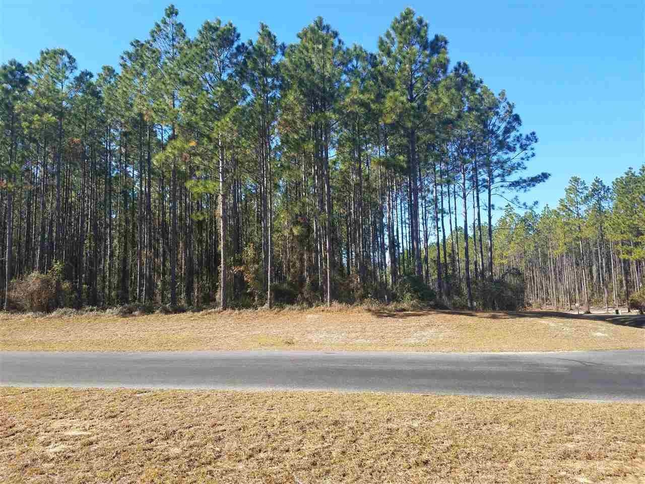 6991  Ranch Club Road , Leon, FL, 32305