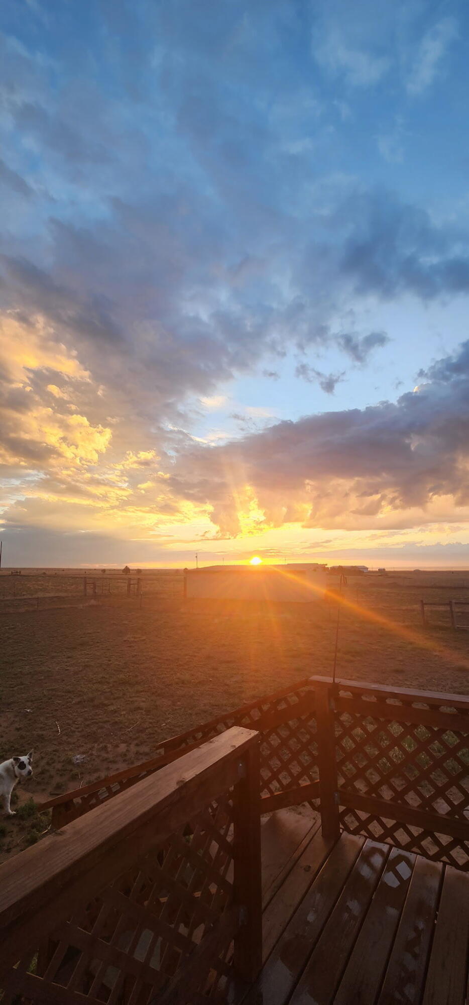 Homes for sale in Edgewood, NM | 16 Lora Ln, Edgewood, NM 87015 | MLS# 1085559