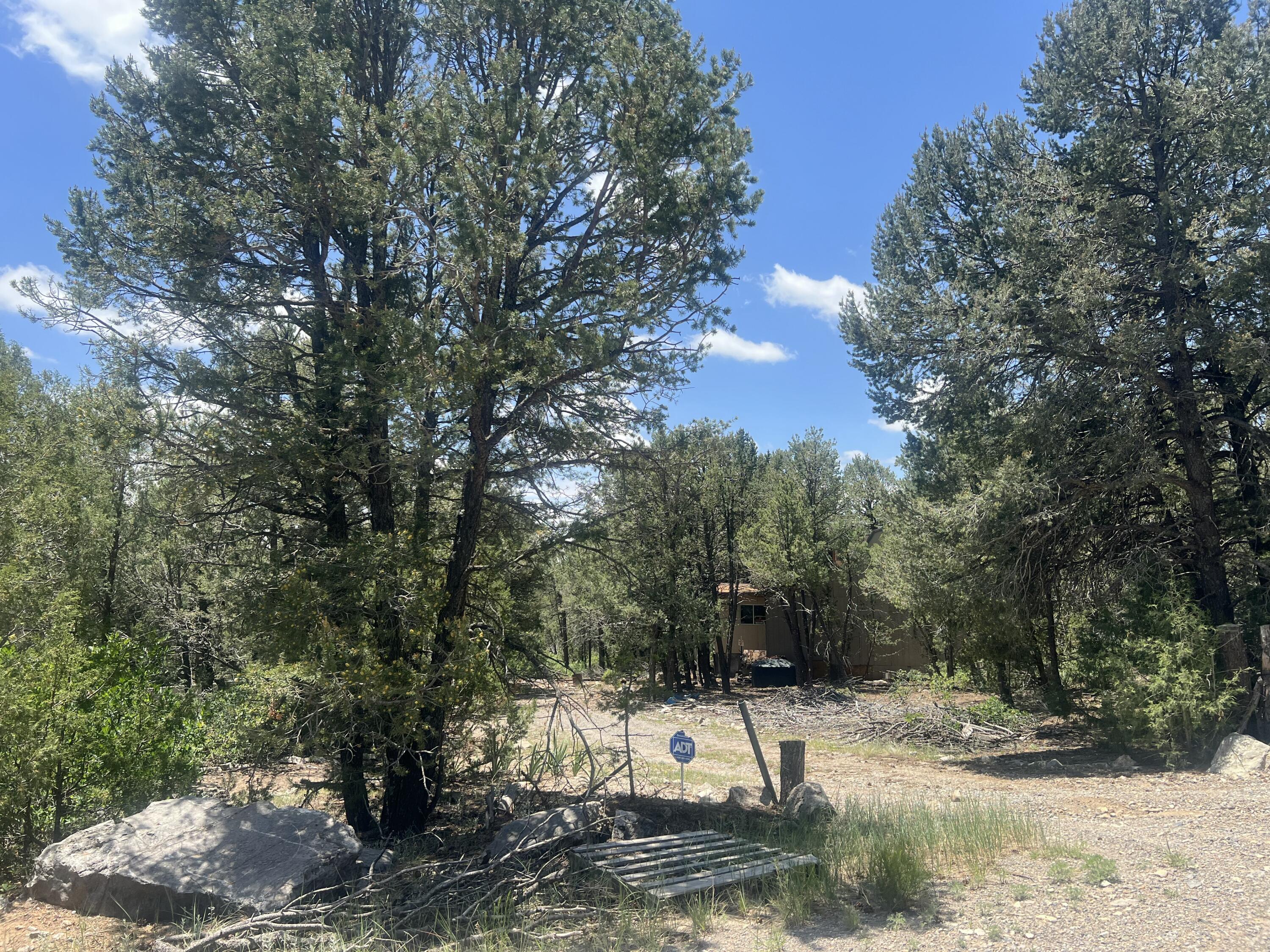 Homes for sale in Edgewood, NM | 17 Michelle Ct, Edgewood, NM 87015 | MLS# 1085597