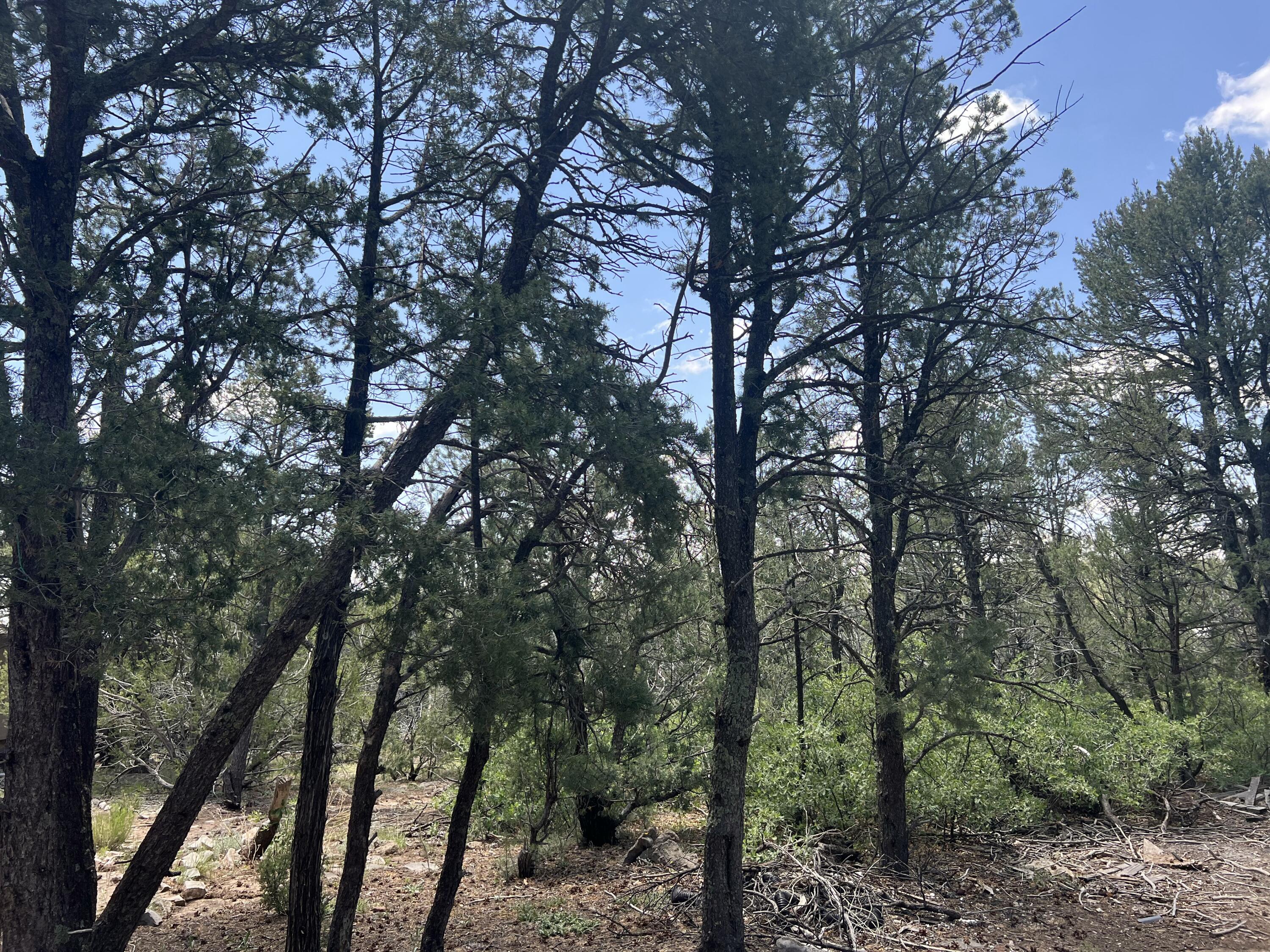 Homes for sale in Edgewood, NM | 17 Michelle Ct, Edgewood, NM 87015 | MLS# 1085597