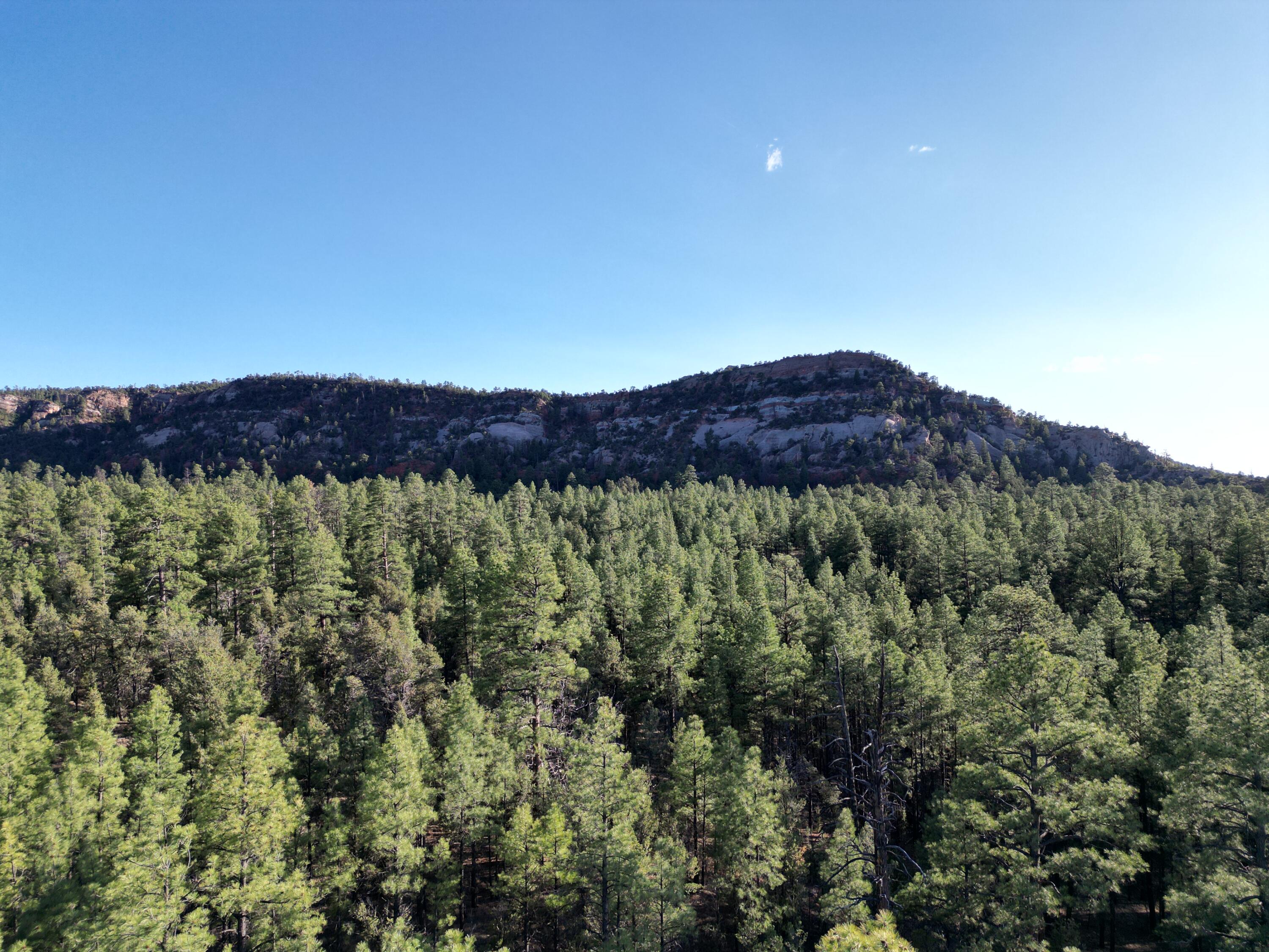 Homes for sale in Ramah, NM | R211158 County Road 12 / Box S Rd, Ramah, NM 87321 | MLS# 1085583