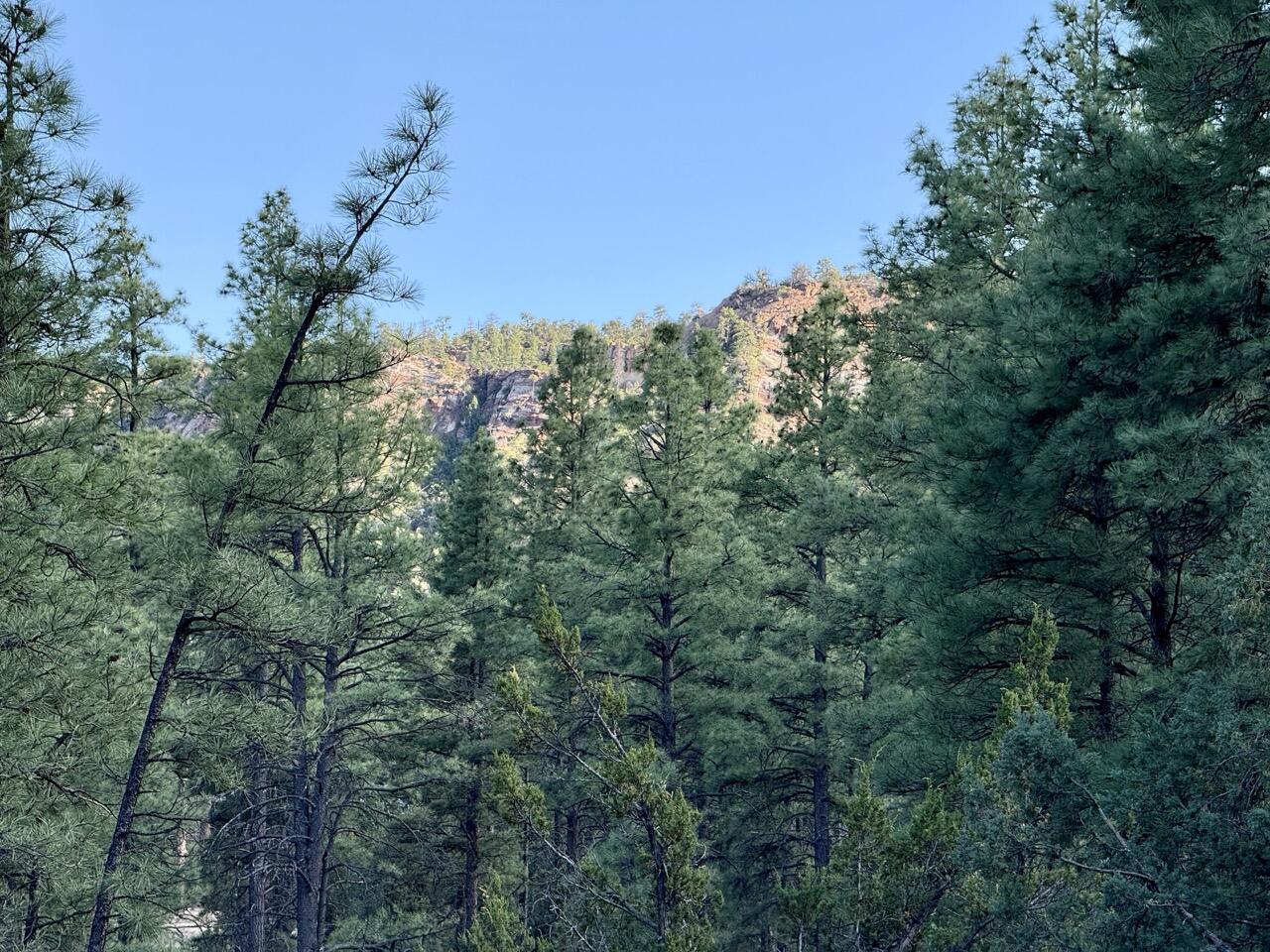 Homes for sale in Ramah, NM | R211158 County Road 12 / Box S Rd, Ramah, NM 87321 | MLS# 1085583