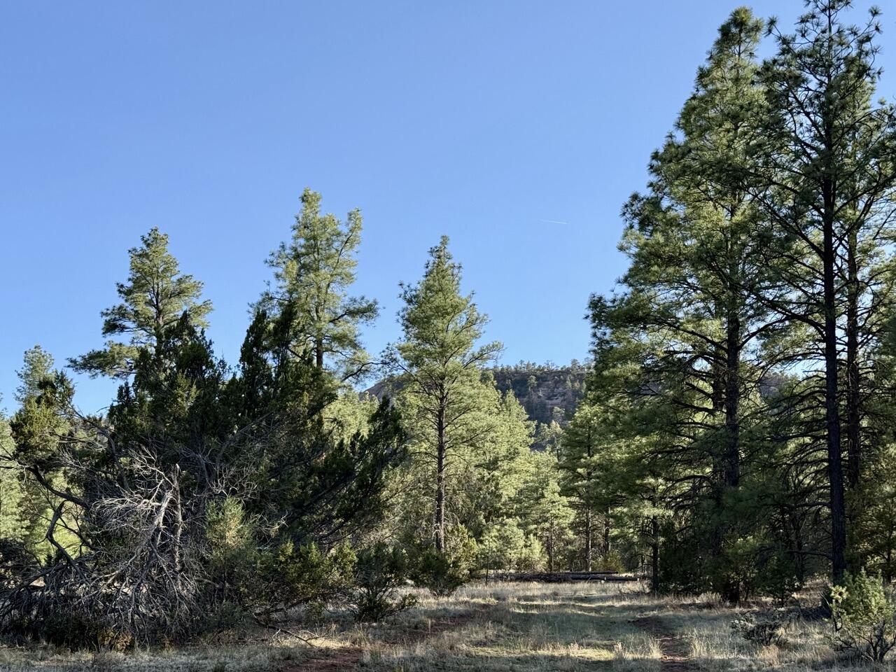 Homes for sale in Ramah, NM | R211158 County Road 12 / Box S Rd, Ramah, NM 87321 | MLS# 1085583