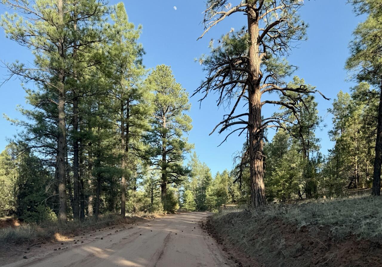 Homes for sale in Ramah, NM | R211158 County Road 12 / Box S Rd, Ramah, NM 87321 | MLS# 1085583