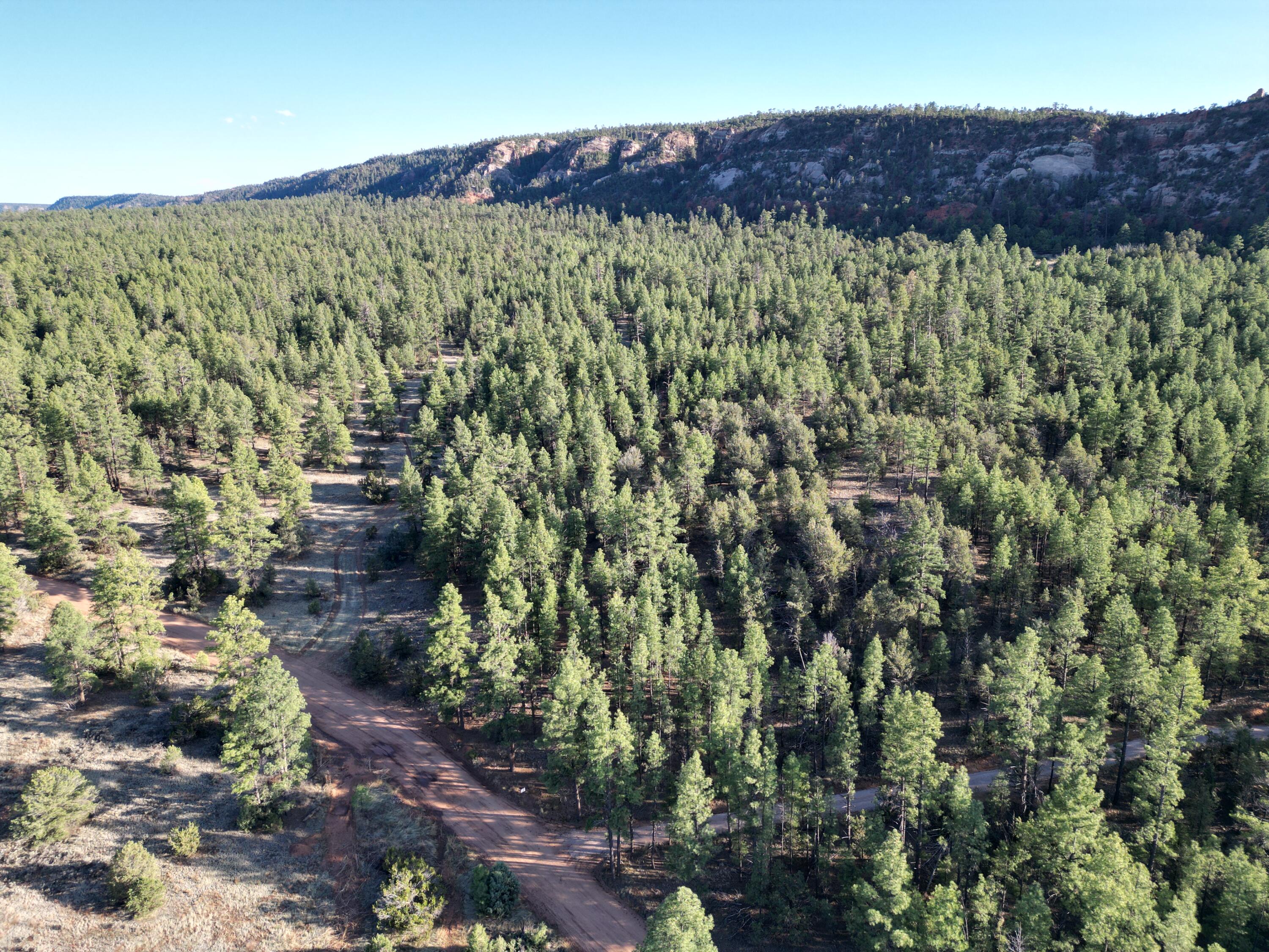 Homes for sale in Ramah, NM | R211158 County Road 12 / Box S Rd, Ramah, NM 87321 | MLS# 1085583