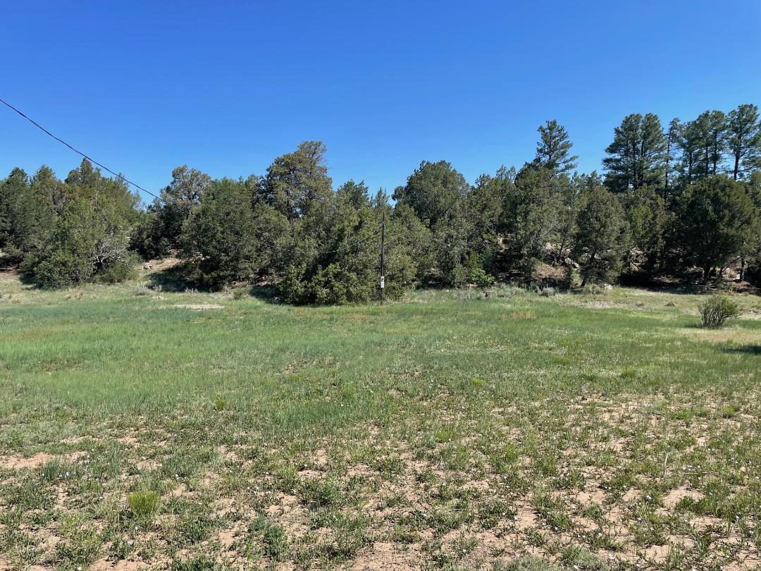 Homes for sale in Tijeras, NM | 5 Yucca Flats Rd, Tijeras, NM 87059 | MLS# 1085629