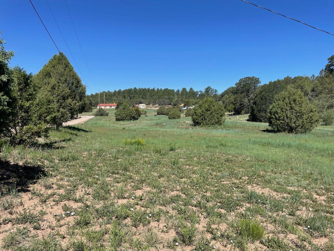 Homes for sale in Tijeras, NM | 5 Yucca Flats Rd, Tijeras, NM 87059 | MLS# 1085629