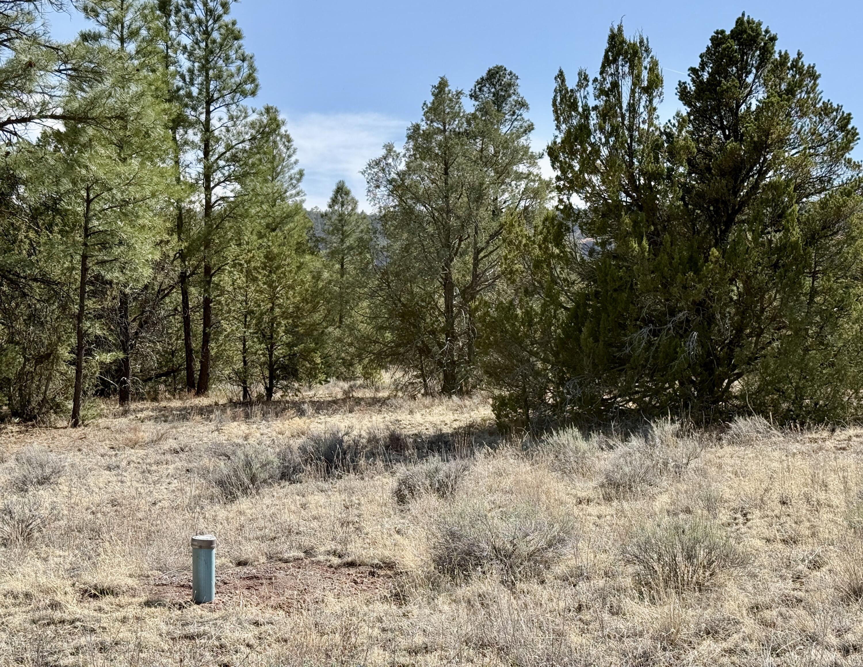 Homes for sale in Ramah, NM | Lot 21 Cottonwood Ln, Ramah, NM 87321 | MLS# 1085648