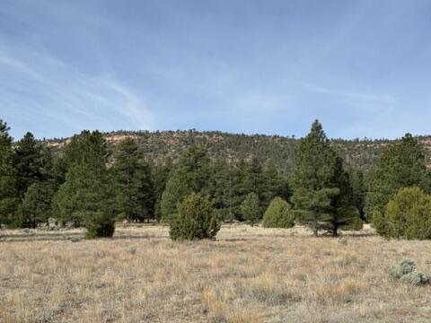 Homes for sale in Ramah, NM | Lot 21 Cottonwood Ln, Ramah, NM 87321 | MLS# 1085648