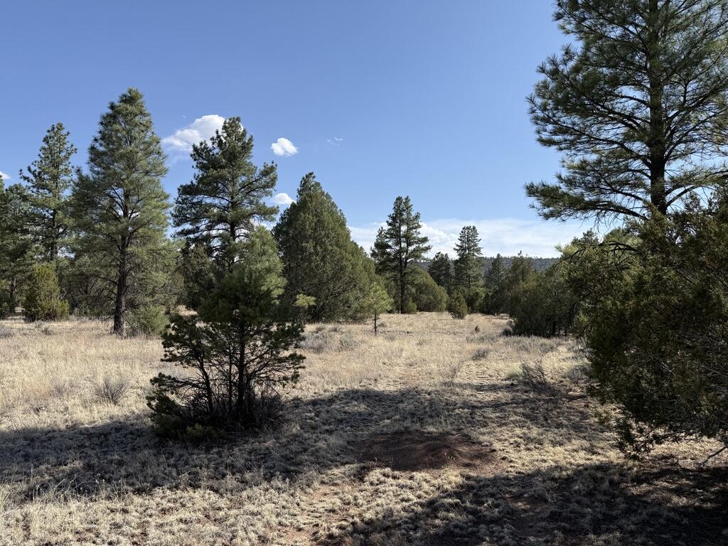 Homes for sale in Ramah, NM | Lot 21 Cottonwood Ln, Ramah, NM 87321 | MLS# 1085648