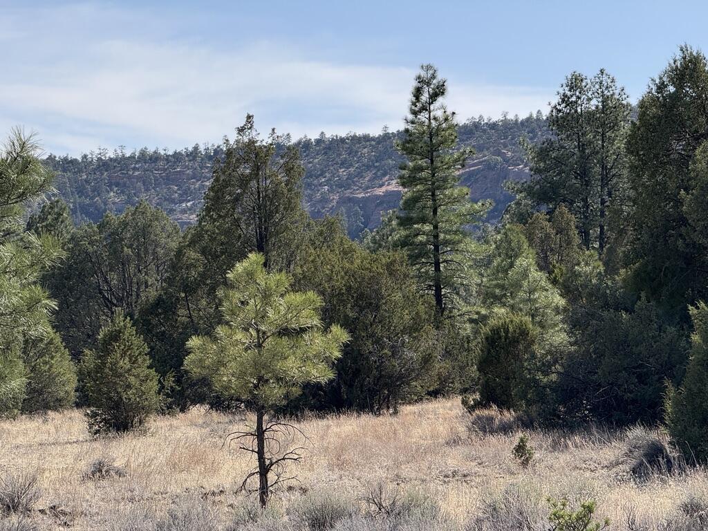 Homes for sale in Ramah, NM | Lot 21 Cottonwood Ln, Ramah, NM 87321 | MLS# 1085648