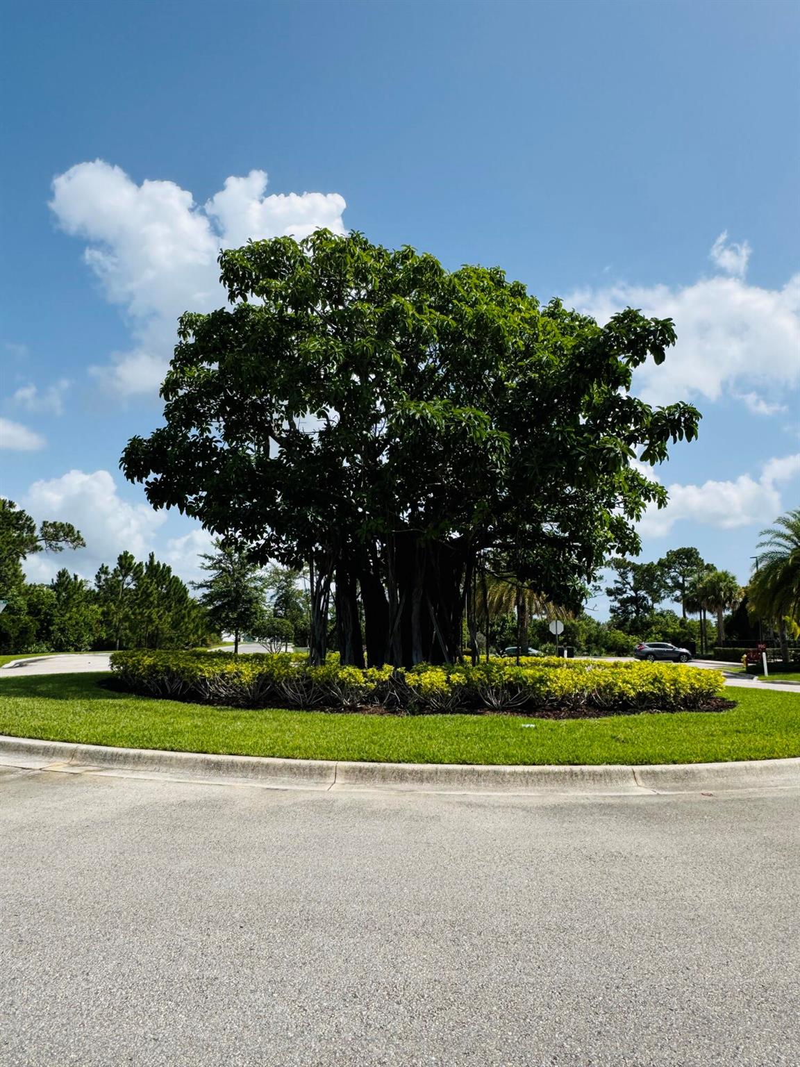 Homes for sale in Stuart, FL | 163 Sw Pomeroy Street, Stuart, FL 34997 | MLS# R11098310