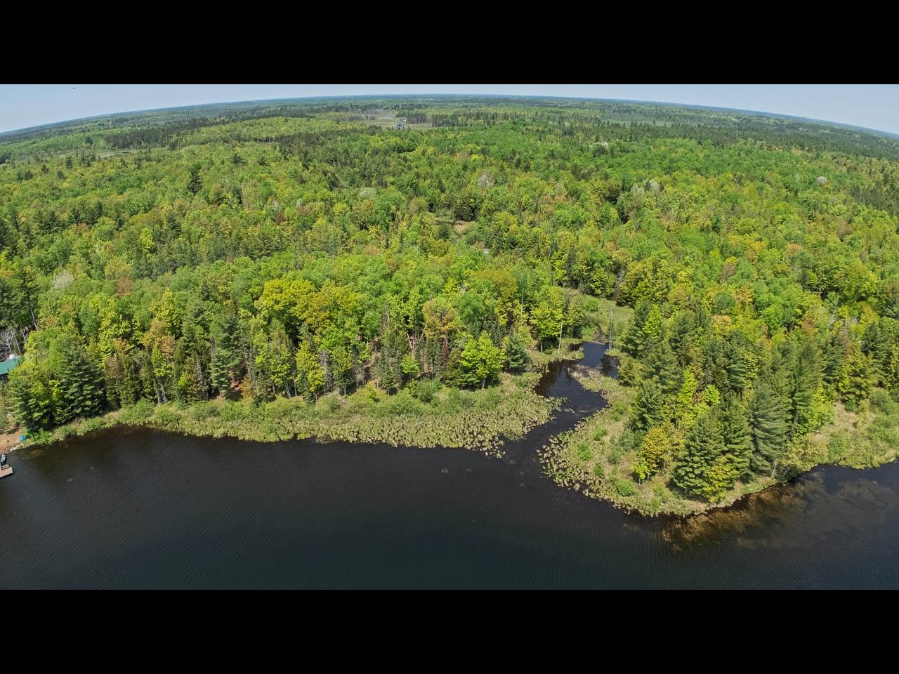 Clearwater Lake Property Lot 12 Kinderhook Tr Photo 12