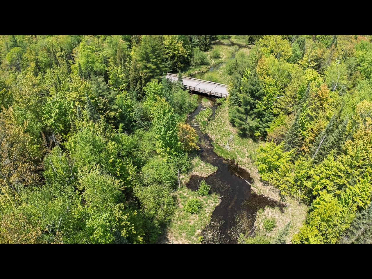 Clearwater Lake Property Lot 12 Kinderhook Tr Photo 13