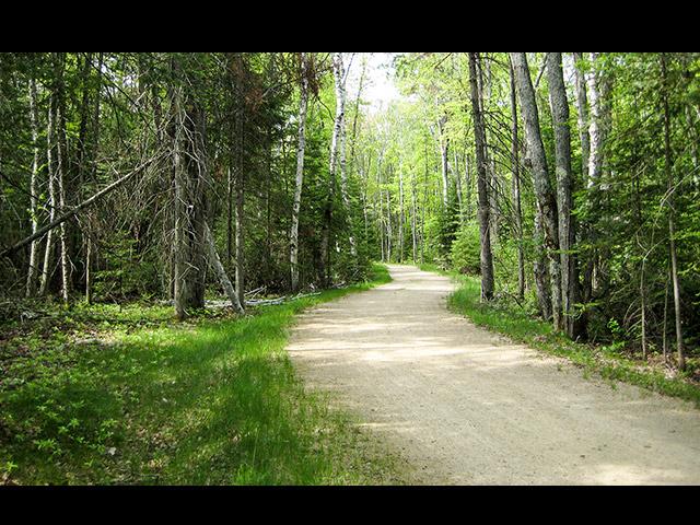 Clearwater Lake Property Lot 12 Kinderhook Tr Photo 16