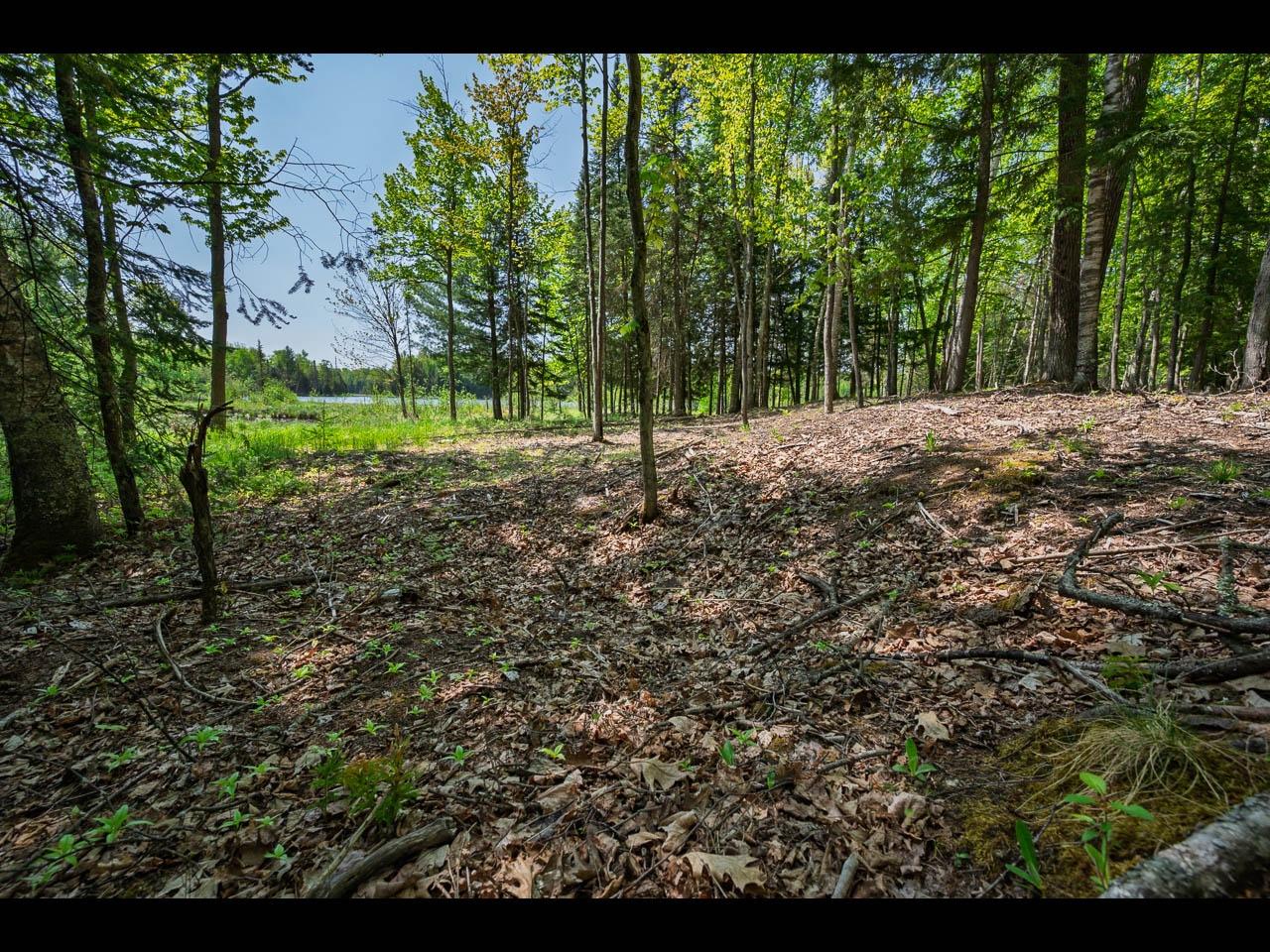 Clearwater Lake Property Lot 12 Kinderhook Tr Photo 7
