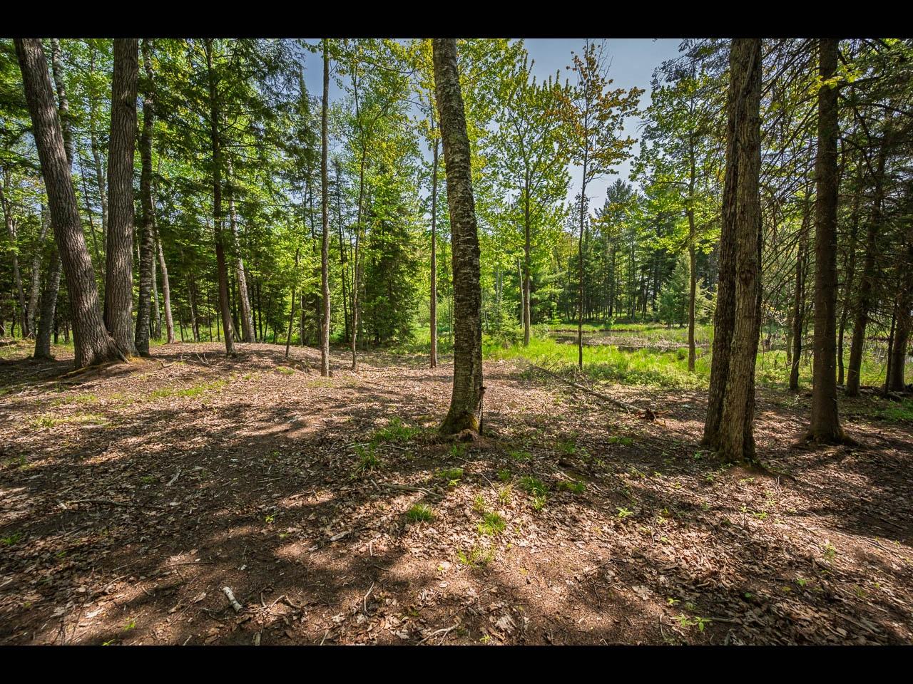 Clearwater Lake Property Lot 12 Kinderhook Tr Photo 8