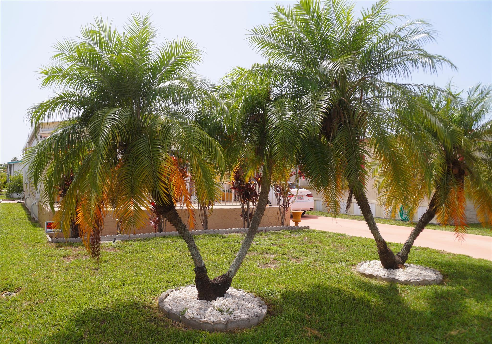 Homes for sale in Fort Lauderdale, FL | 5280 Sw 23Rd Ave, Fort Lauderdale, FL 33312 | MLS# F10508252