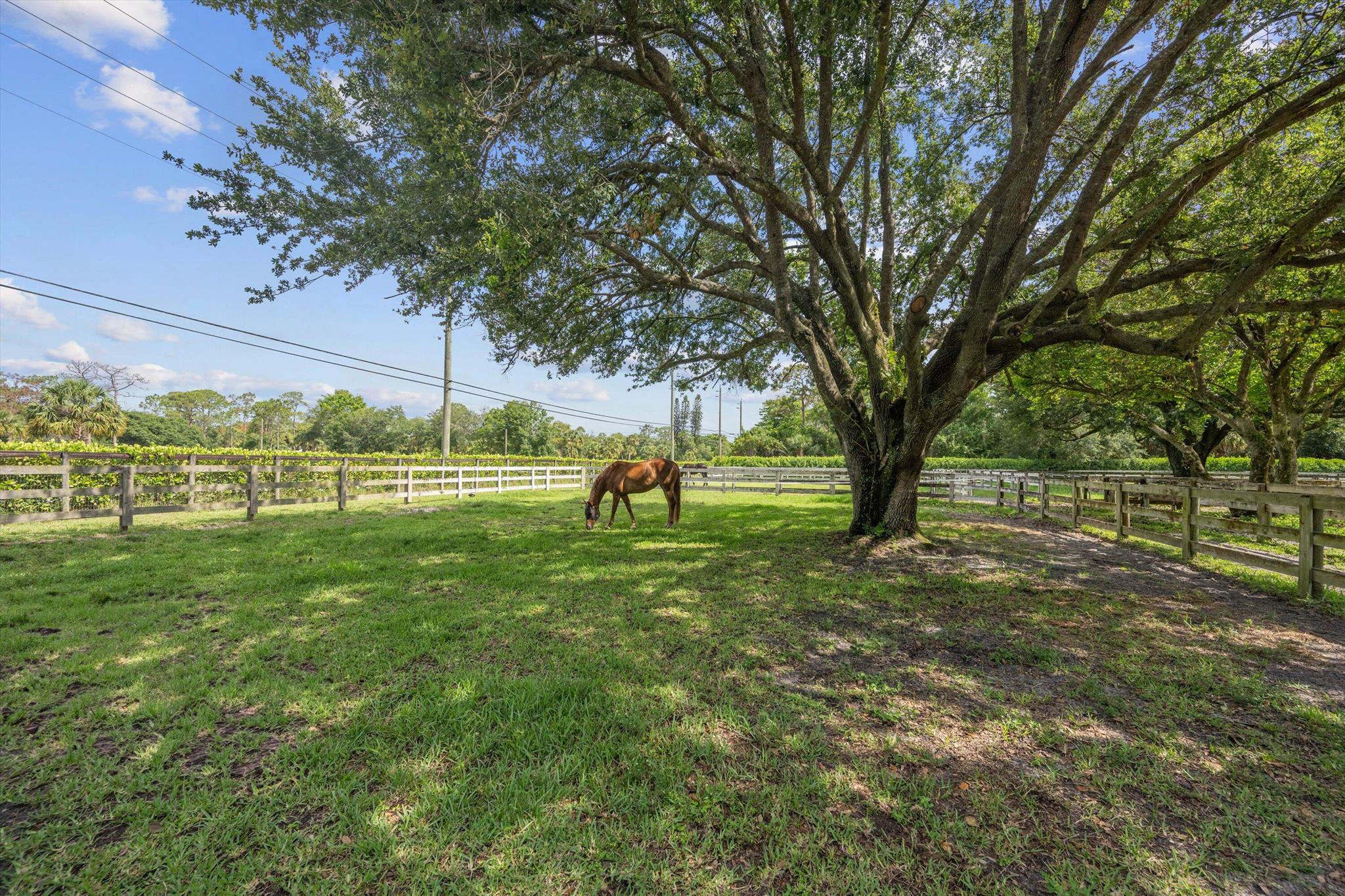 Homes for sale in Loxahatchee Groves, FL | 3442 C Road, Loxahatchee Groves, FL 33470 | MLS# R11098546