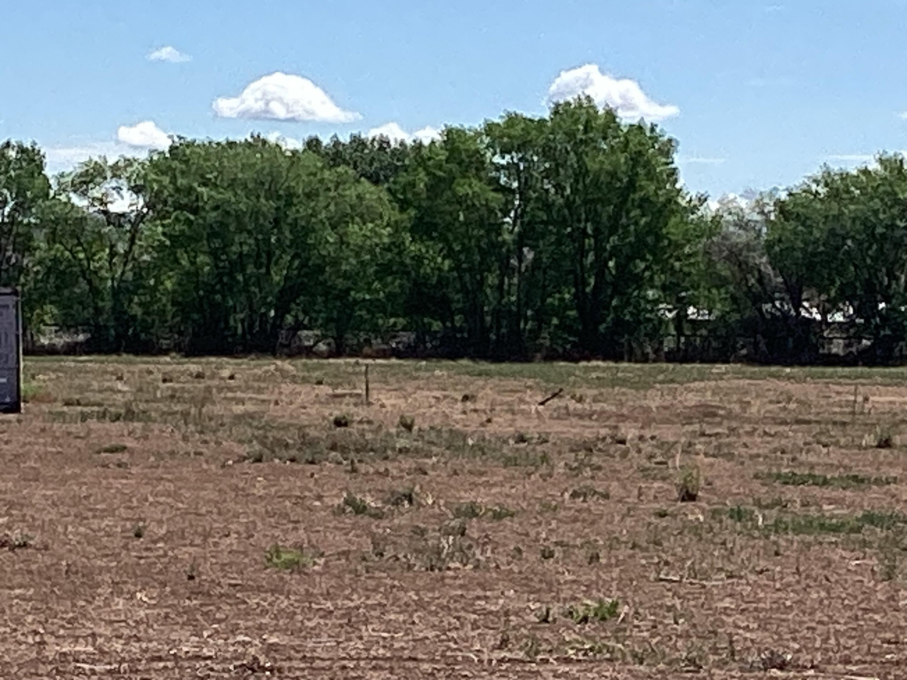 2nd image of Olive Ln, Lemitar, NM 87823 | MLS# 1085719