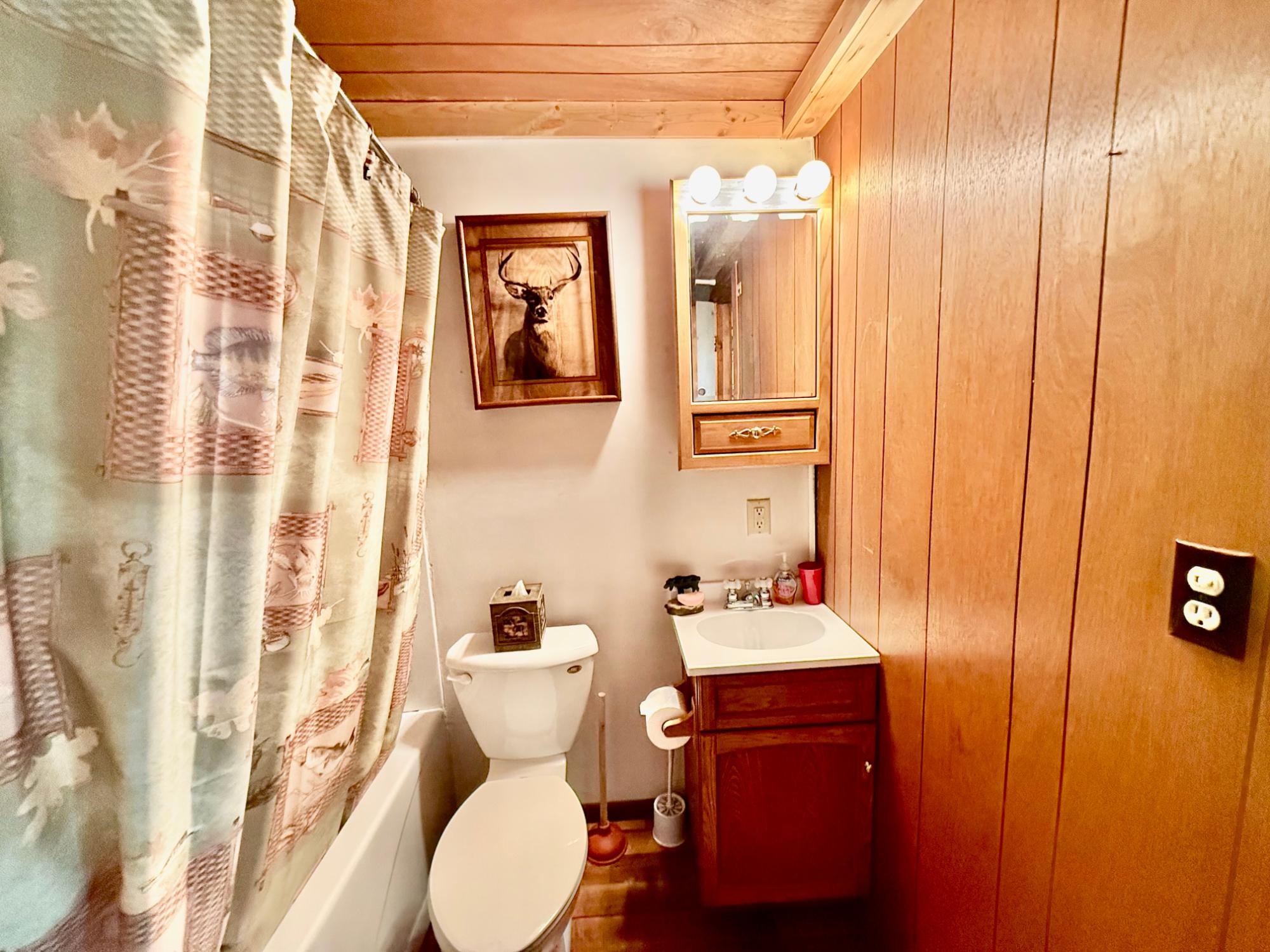 Pelican Lake Property 2473 Norway Point Rd Photo 31