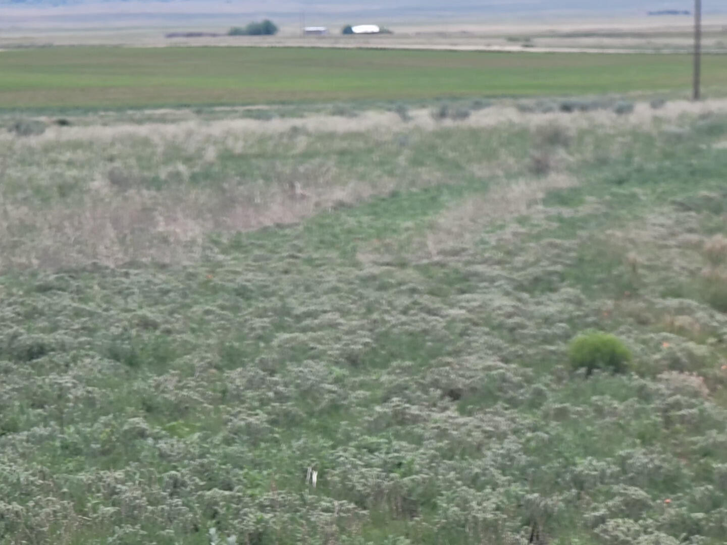 Homes for sale in Stanley, NM | 22 Colella Rd, Stanley, NM 87056 | MLS# 1085749