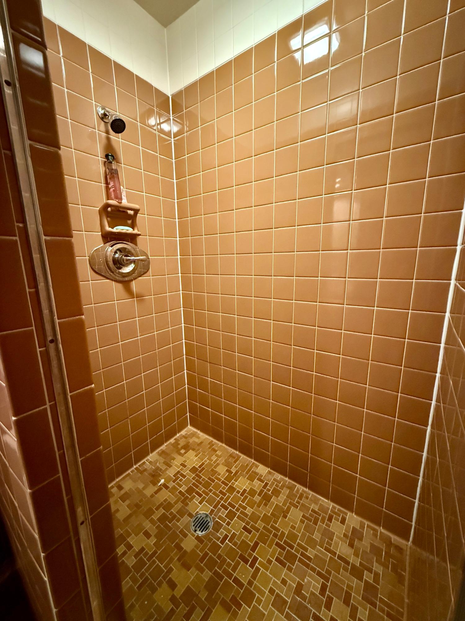 Arbutus Lake (C) Property 646 Birch Ln Photo 19